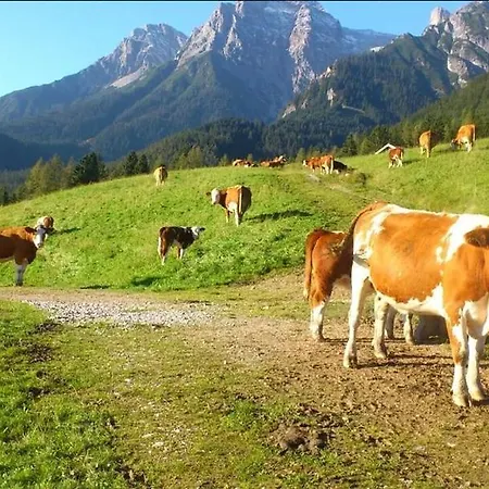 Chalet Steinernes Meer * Maria Alm am Steinernen Meer