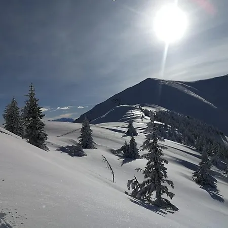 Holiday home Chalet Steinernes Meer Maria Alm am Steinernen Meer